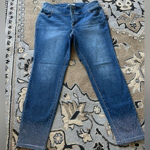 Lane Bryant Denim Jeggings